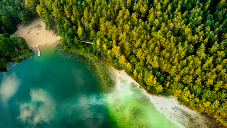 Gražiausi Lietuvos ežerai, kuriuose galėsite atsigaivinti nuo karščio