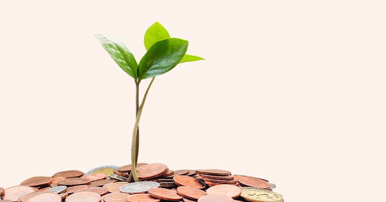 „Swedbank“ pensijų fondų investicijos į tvarų verslą − 500 mln. eurų