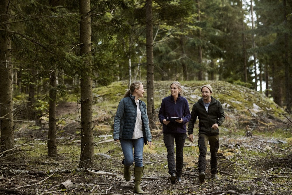 „Swedbank“ pradeda teikti žaliąsias paskolas miško įveisimui 
