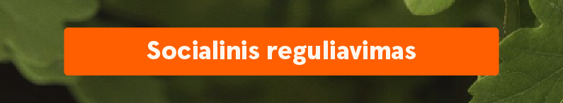 Socialinis reguliavimas