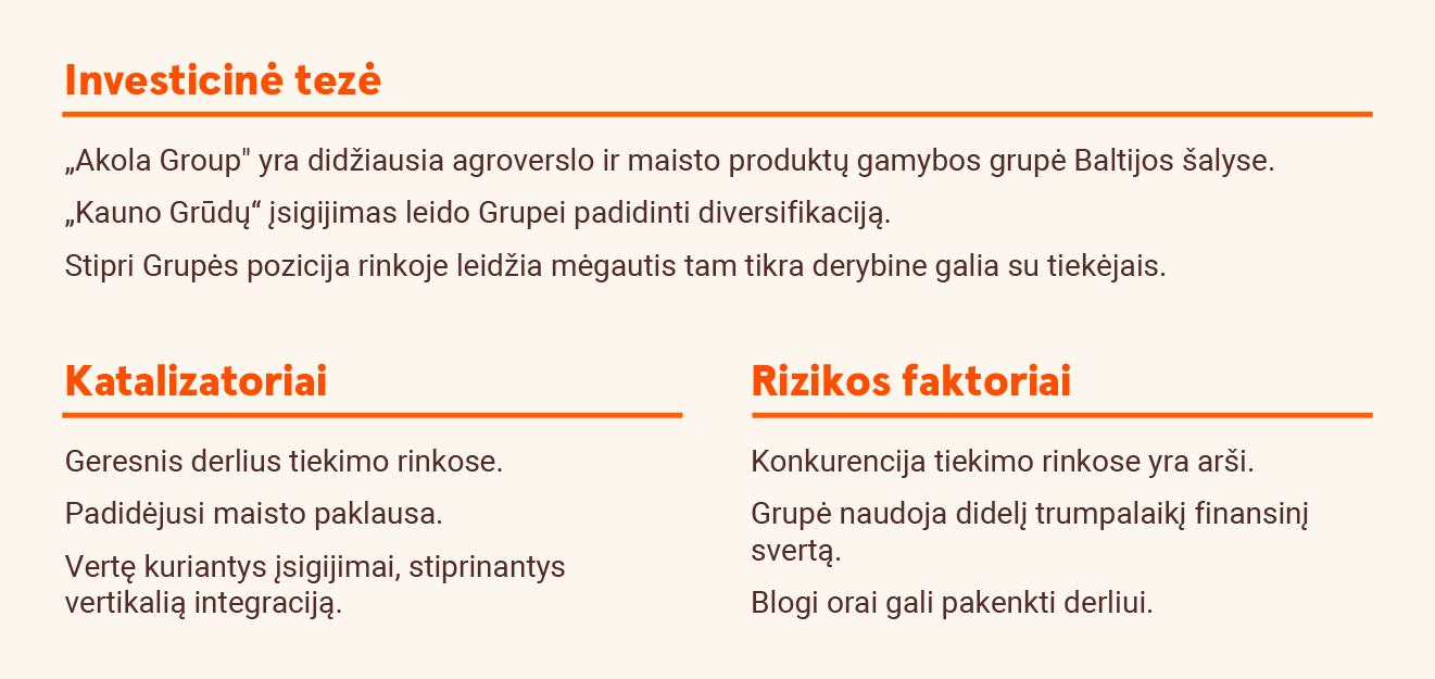 Investicinė tezė