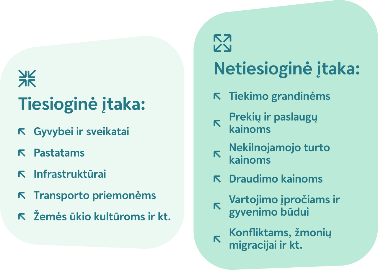 Tiesioginė ir netiesioginė įtaka