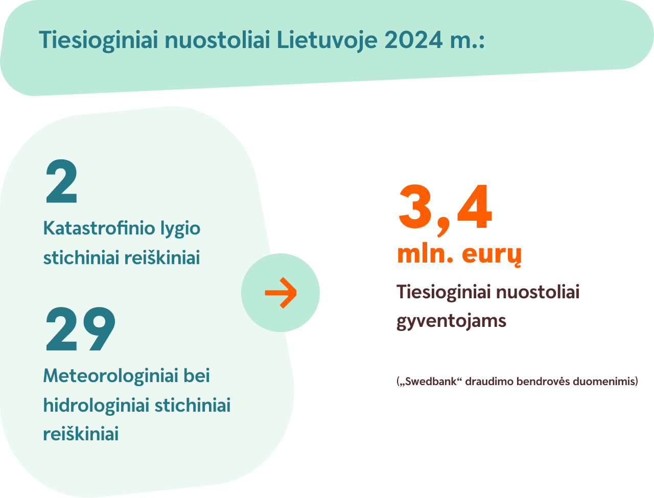 Tiesioginiai nuostoliai Lietuvoje 2024 m.