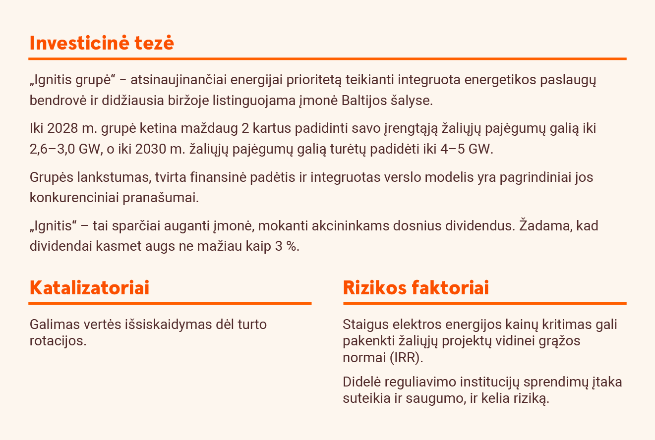 Investicinė tezė, katalizatoriai, rizikos faktoriai