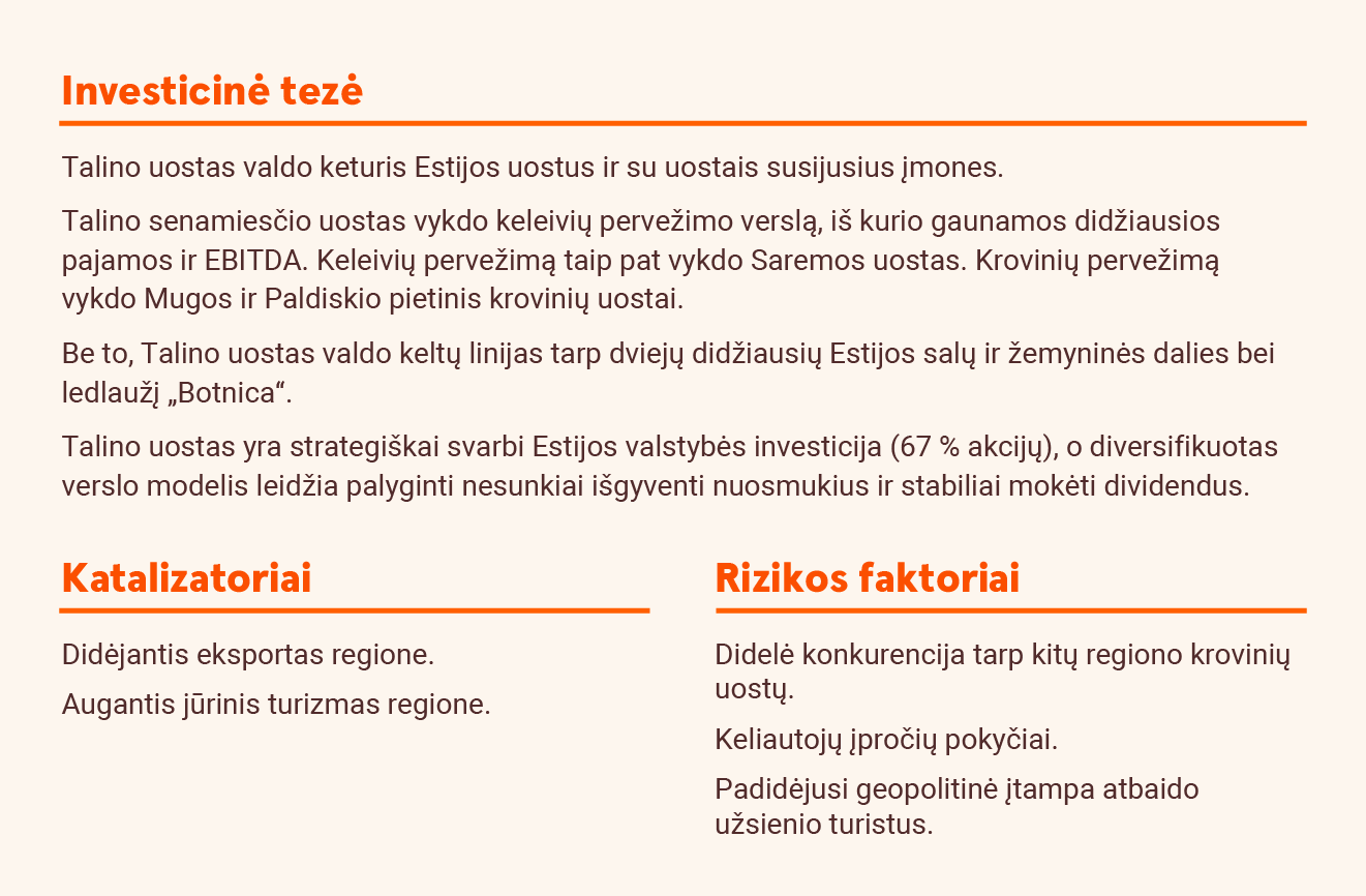 Investicinė tezė