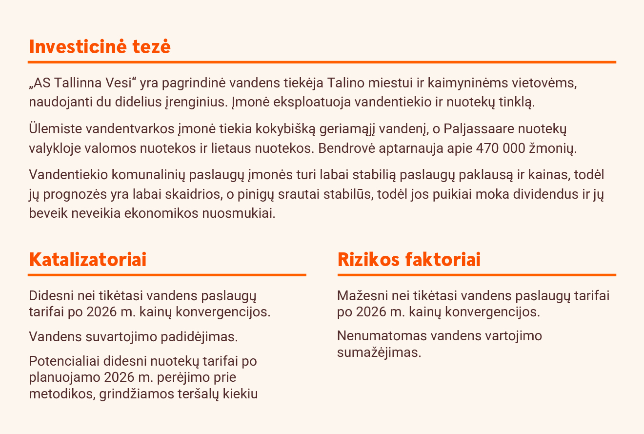 Investicinė tezė