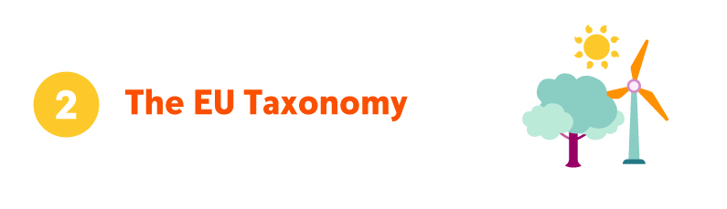 The EU Taxonomy