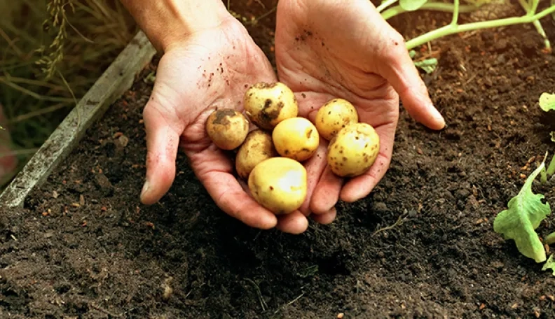 13 nerimtų prietarų apie rimtus dalykus