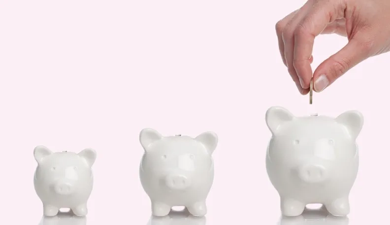 Ar gyventojų nuomonė atitinka realybę: kaip per 10 metų kito lietuvių pajamos ir kainos?