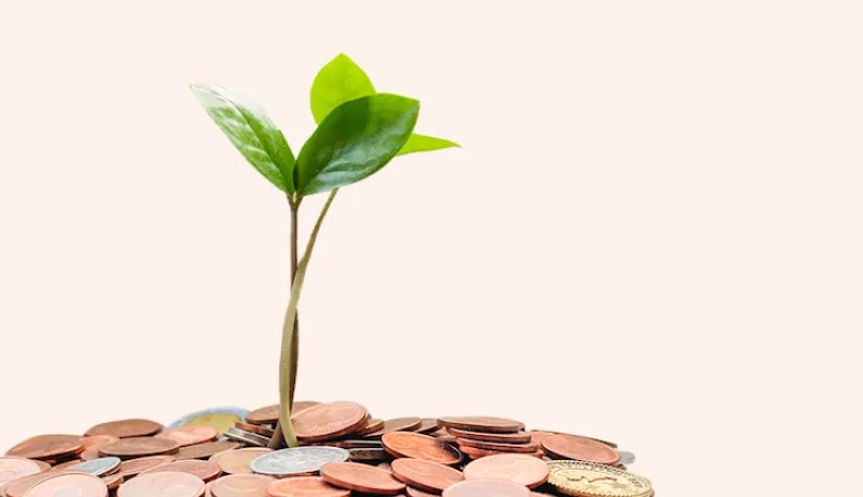 Tyrimas atskleidė, kokio amžiaus lietuvių finansinė gerovė – didžiausia