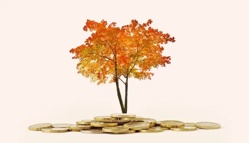 Atėjęs ruduo atvėsino investuotojų entuziazmą