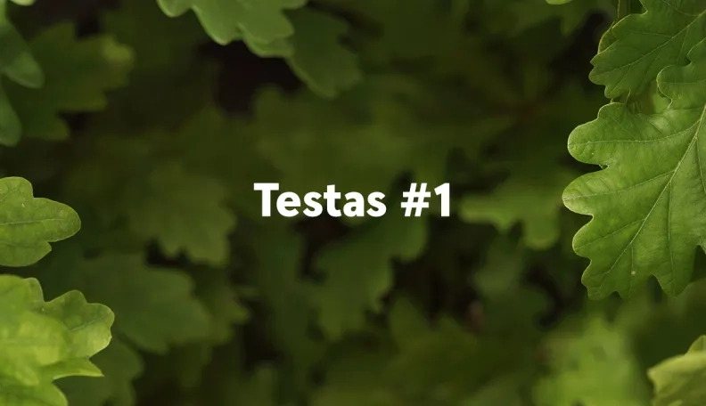 „Swedbank“ tinklaraščio testas (#1)