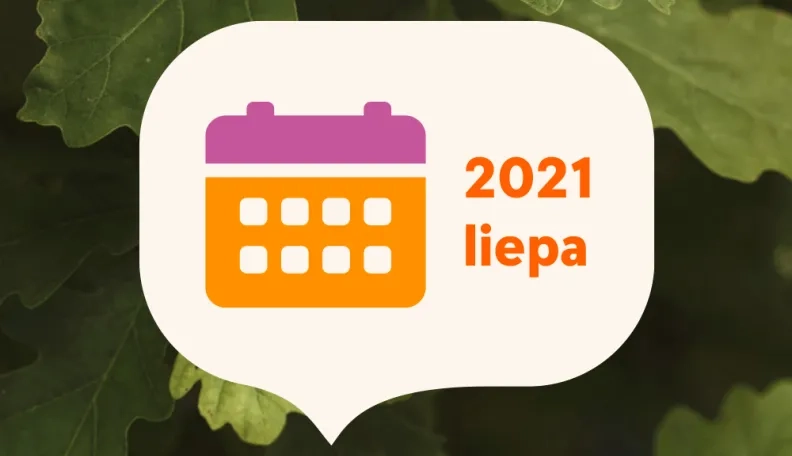 2021 m. liepos mėnesio finansų rinkų apžvalga