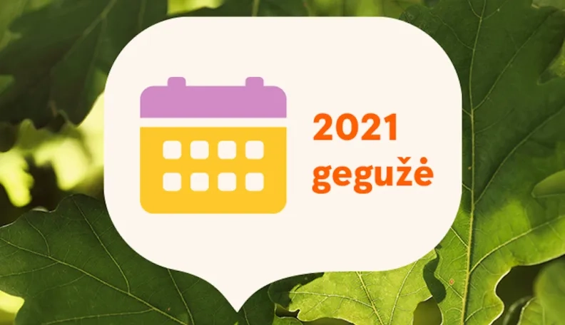 2021 m. gegužės mėnesio finansų rinkų apžvalga: grįžo svyravimai