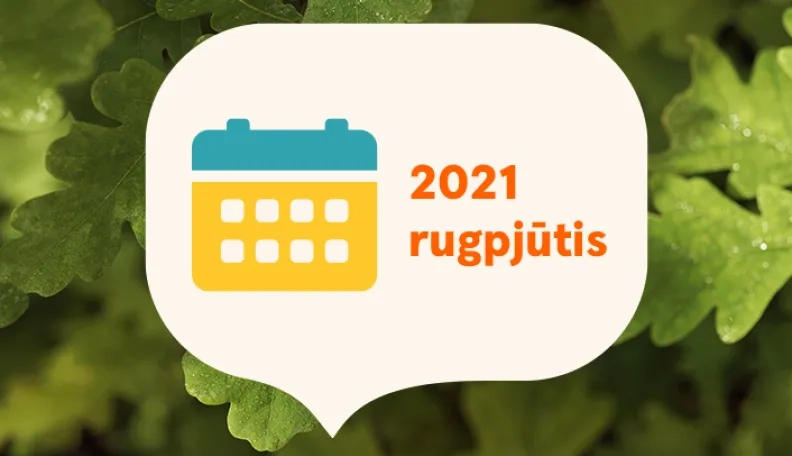 2021 m. rugpjūčio mėnesio finansų rinkų apžvalga: po padidinamuoju stiklu – Vokietija ir Afganistanas