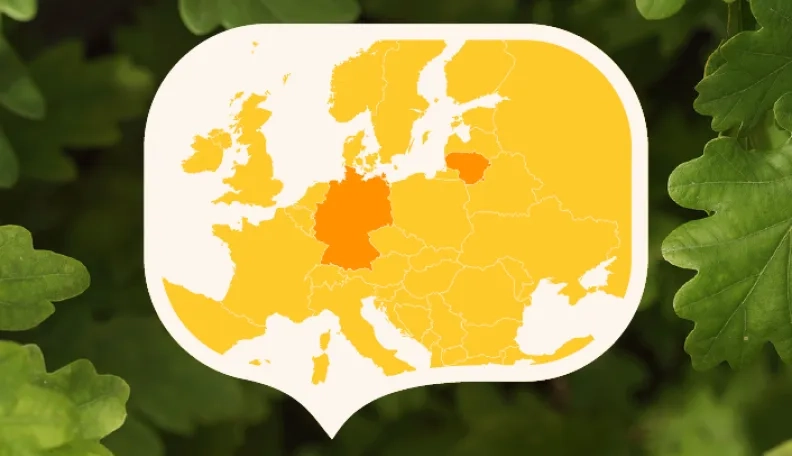 Ką artėjantys Vokietijos rinkimai reiškia Lietuvai ir Europai?