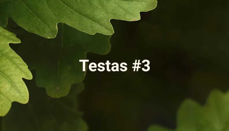 „Swedbank“ tinklaraščio testas (#3)