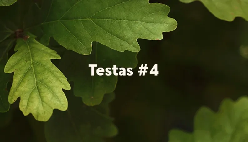 „Swedbank“ tinklaraščio testas (#4)