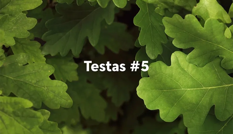 „Swedbank“ tinklaraščio testas (#5)