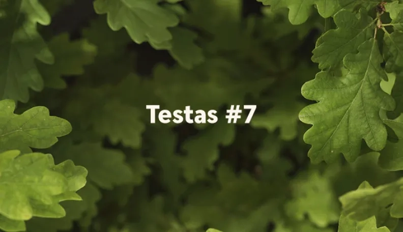 „Swedbank“ tinklaraščio testas (#7)