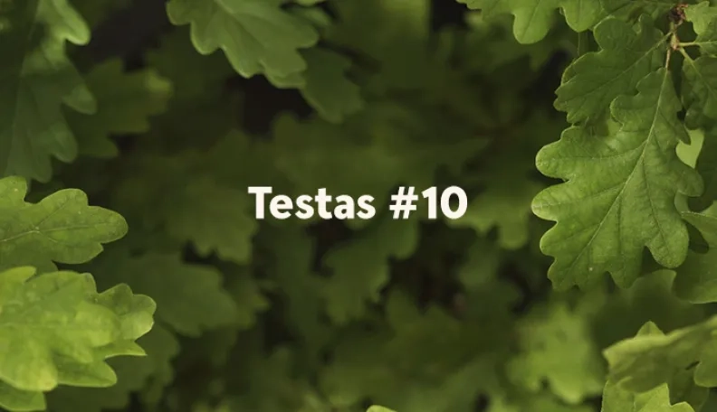 „Swedbank“ tinklaraščio testas (#10)