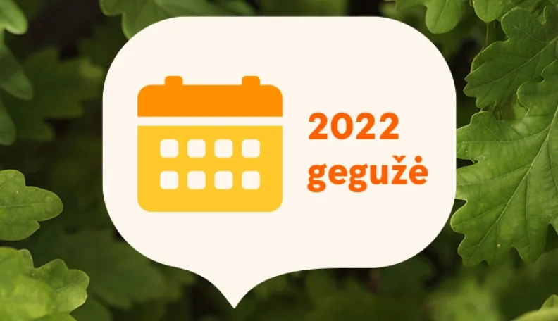 2022 gegužė finansų rinkose: stabilumo vis dar nematyti
