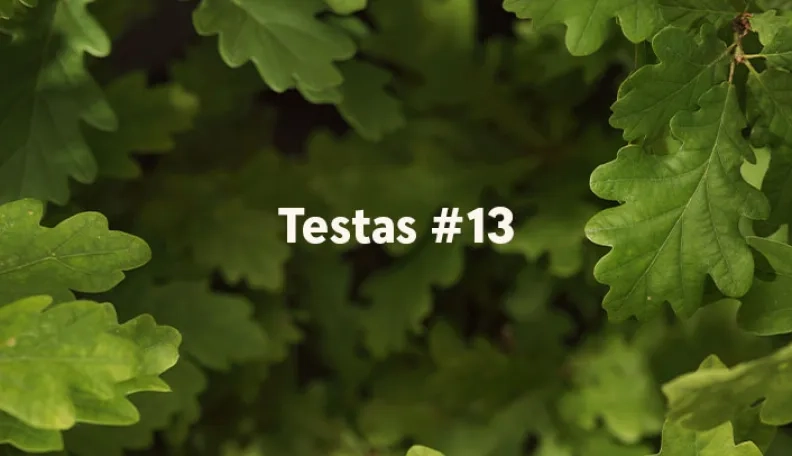 „Swedbank“ tinklaraščio testas (#13)