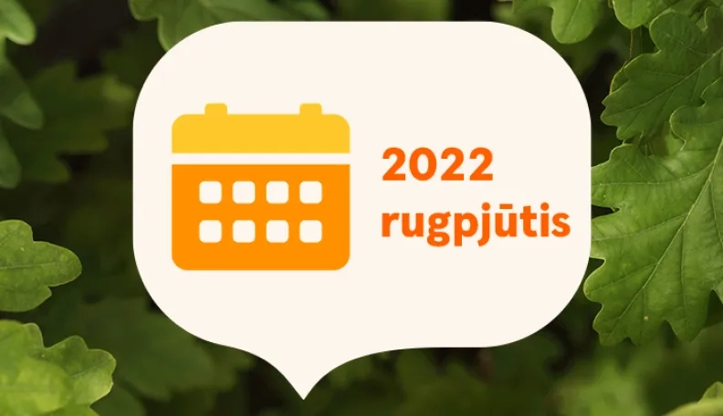 2022 rugpjūtis finansų rinkose: miglotos ekonomikos augimo prognozės