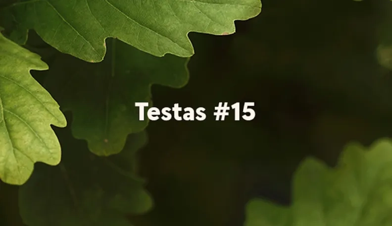 „Swedbank“ tinklaraščio testas (#15)