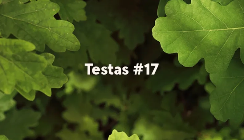 „Swedbank“ tinklaraščio testas (#17)