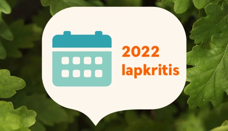 Lapkritis finansų rinkose: viltis dėl lėtesnio palūkanų normų augimo