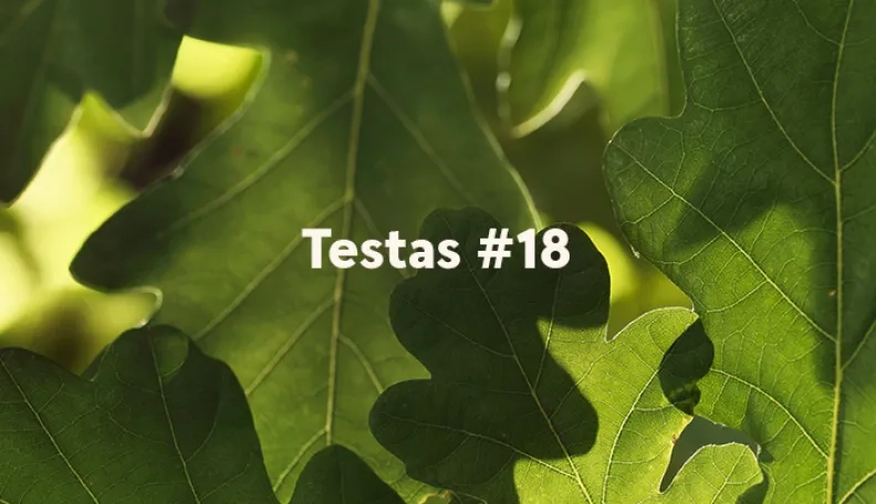 „Swedbank“ tinklaraščio testas (#18)