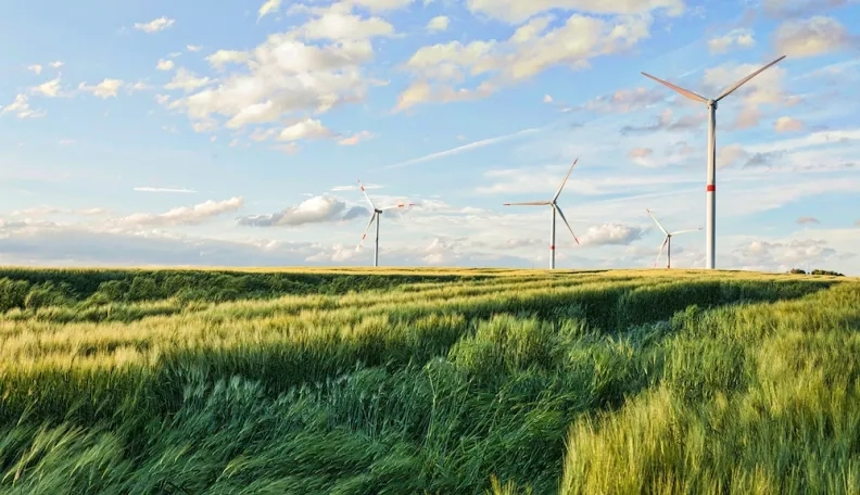 „Swedbank“ suteikė 92 mln. eurų „Green Genius“ vystomo vėjo parko statyboms