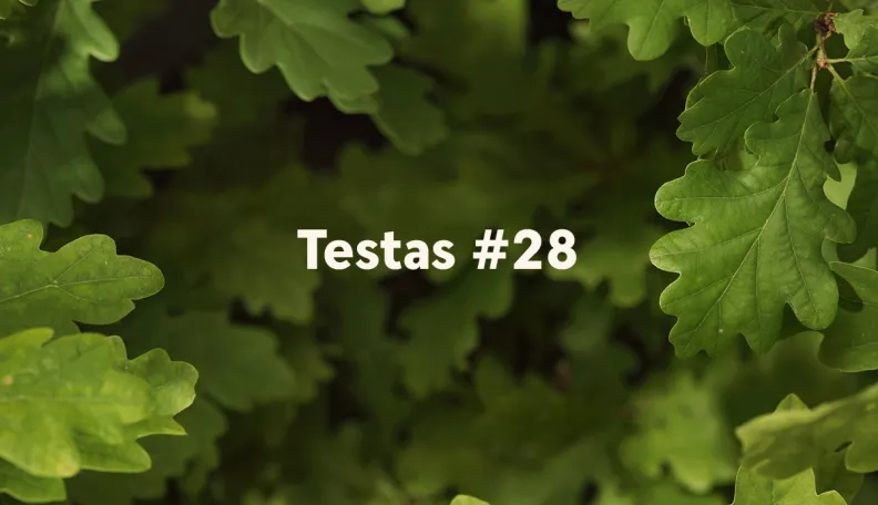 „Swedbank“ tinklaraščio testas (#28)