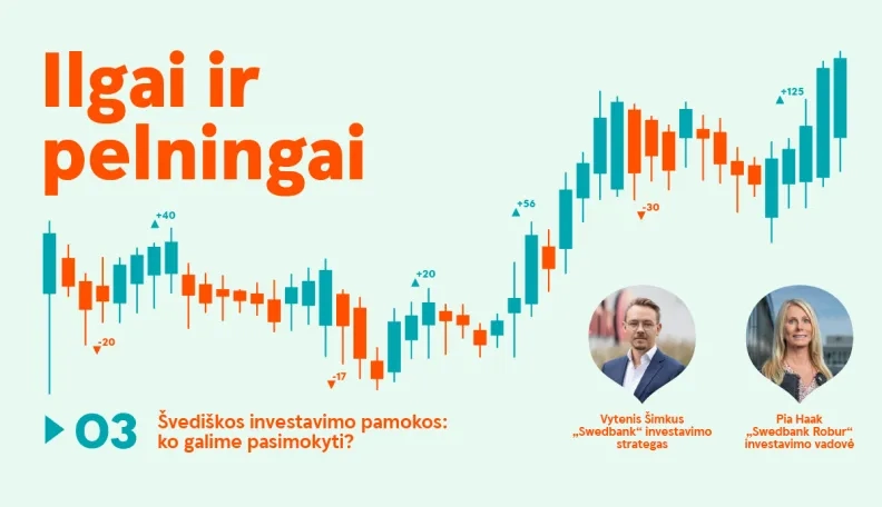 Ilgai ir pelningai: švediškos investavimo pamokos. Ko galime pasimokyti? 