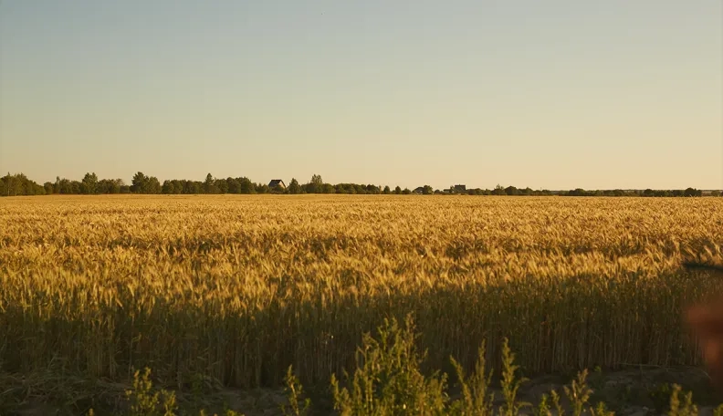 „Swedbank“ ir „OP Corporate Bank“ suteikė 140 mln. eurų finansavimą bendrovei „Linas Agro“
