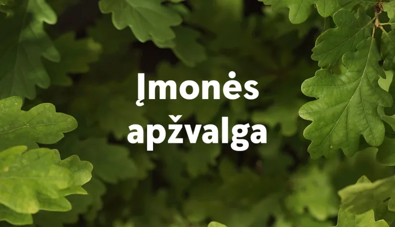  „Akola Group“: netolygūs srautai
